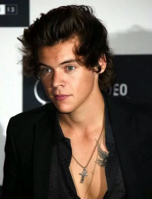 harry styles |single | gay