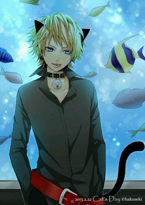 I'm Kyo I am a neko boy , I like to spend time with friends, I like to eat sushi and go out in town. I hope we talk soon //#Seme #Bi #taken @Jason_Uchimaki