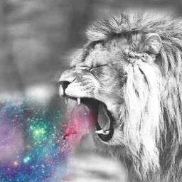 People Won't Stand Quiet , I Hope