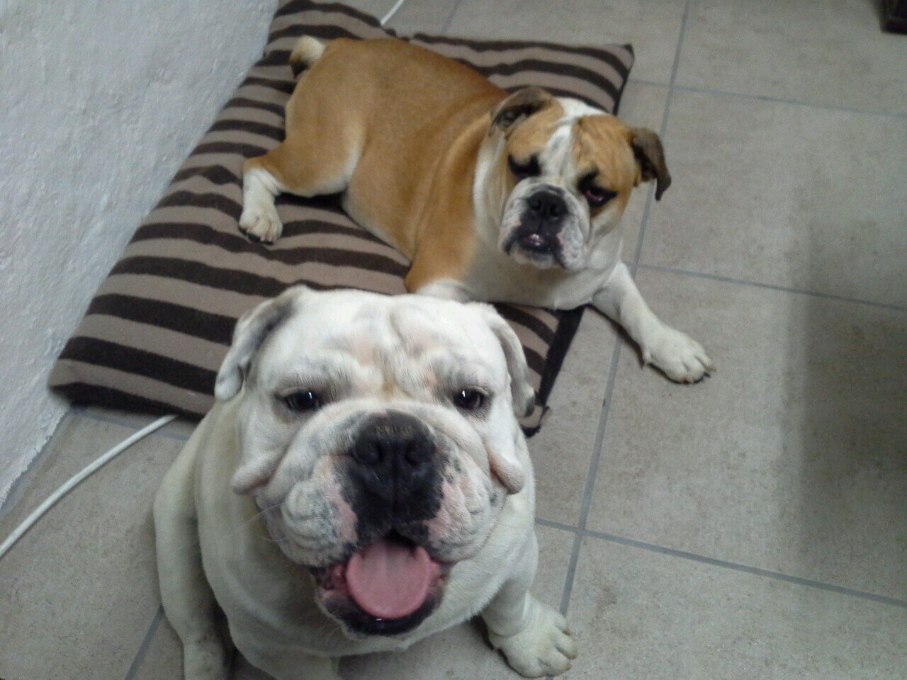 bootsx2's profile picture. 