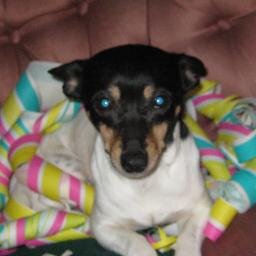 whatelseisnew24's profile picture. 