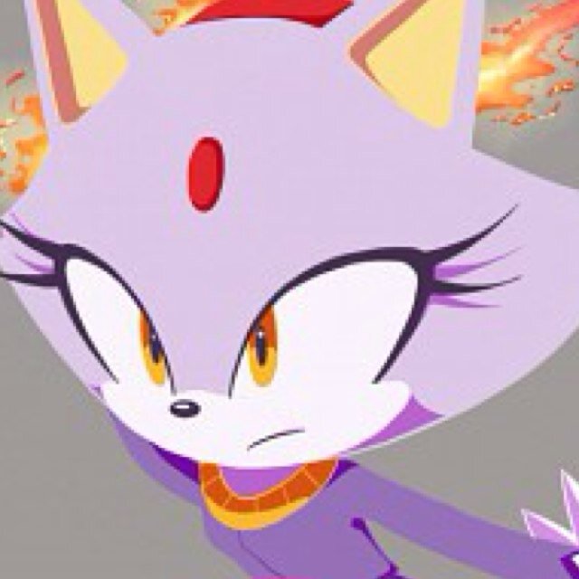 Hello,I'm Blaze the Cat.I have a short temper for annoying people,I may burn you if you're too close.I'm from the Sol Kingdom and the Princess,But who cares?