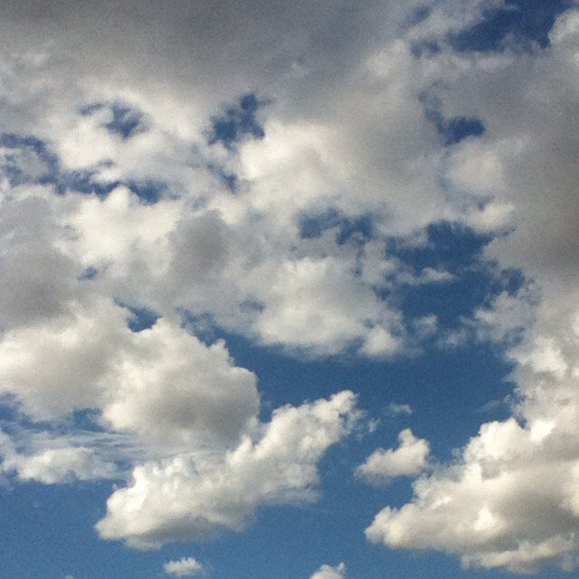 powerless817's profile picture. か な ざ わ / 大 学 3 年