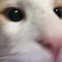 瀬川 (@deadly_note) 's Twitter Profile