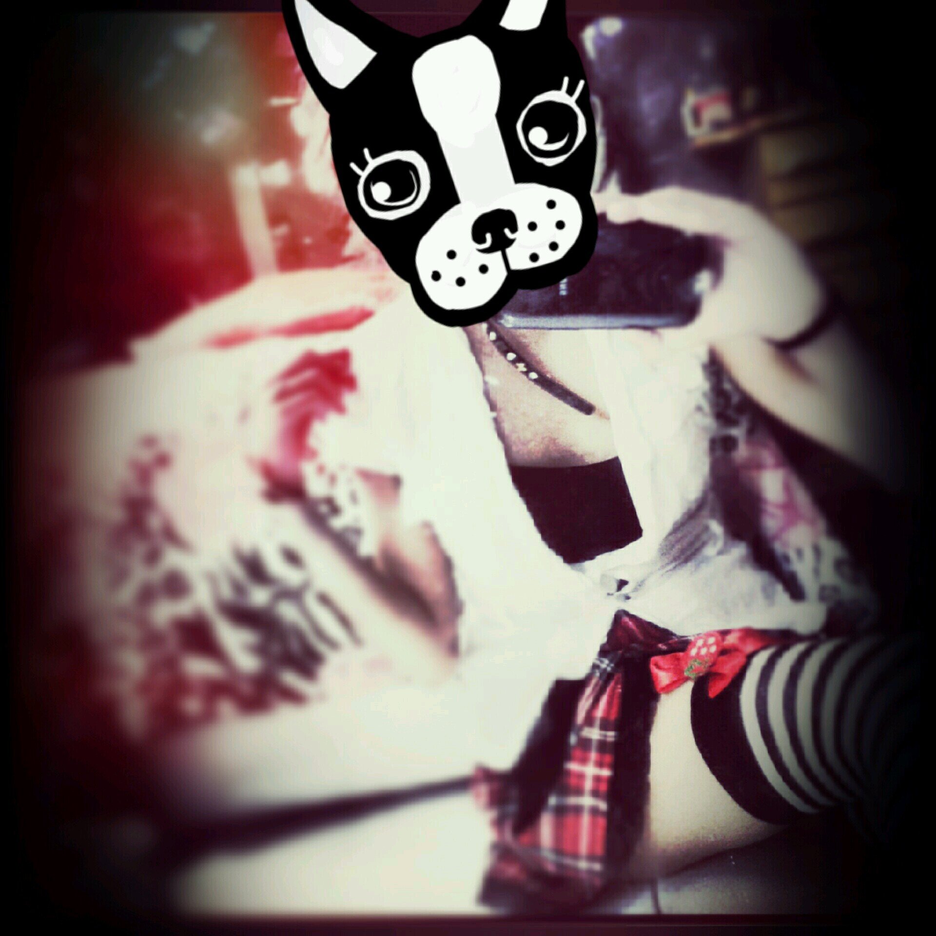 × •  @unycornication •  •