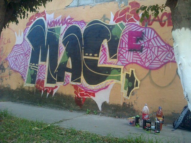 Mace_Nc's profile picture. ما دام الأمل في القلب، فكل شيء ممكن