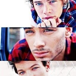 Fangirl, Slu+, Directioner