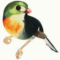 TheRevoNation's profile picture. Let's start a Revolution !