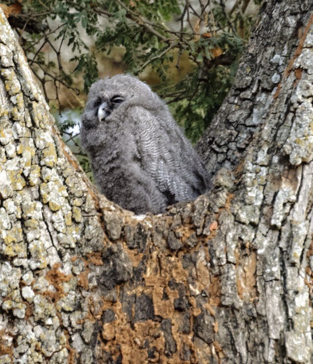 Noperfecto's profile picture. 