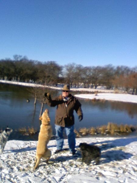 CJWTreeFarm's profile picture. Landscape/Lawn Care Contractor, Tree Grower