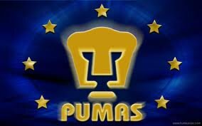 DalePumas9's profile picture. 