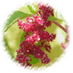 Aging Science News (@agingbiology) Twitter profile photo Aging Science News (@agingbiology) Twitter profile photo