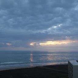 mare8484's profile picture. RETIRED & LOVING it! Family, friends, beach, Buffett, Wurstfest, Angel Wings of Lake Travis, camping, UTLonghorns, travel! That's me!