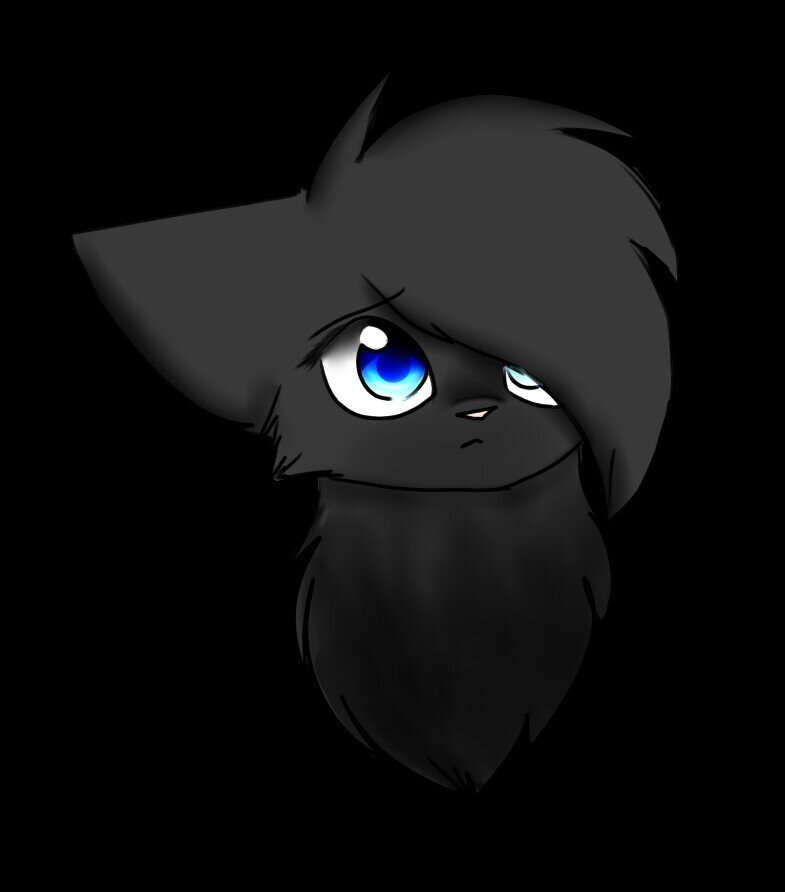 Im leopardKit Im a She-Cat and i live in BloodClan my older sister is @Amber_BloodClan!!!