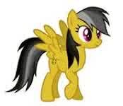 I was first born to @creameggshell and @mlp_samB, my twin sister is @foalprincess... Retired Soldier #engaged to @electric_sky1. Is a dad to 2 beautiful foals