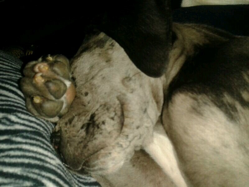 CarlosCarlosven's profile picture. https://t.co/w7t49wY7Ry