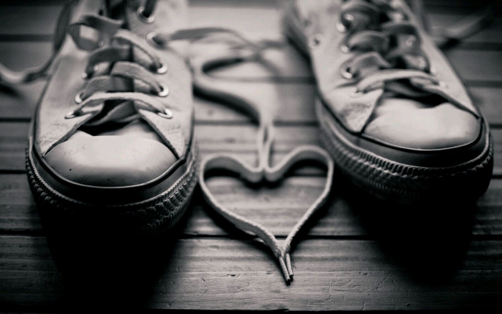 ..··..··♡