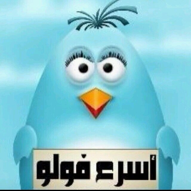 لزياده عدد متابعينك بشكل يومي ! فولو وريتويت للتغريدات التي تضاف يوميا .. الرجاء الالتزام بالفولو باك :)!