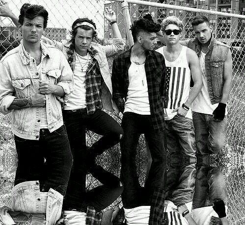 Im not good at Bios. Follow me For a Follow Back. #Directioner #Lovatic Going to see Demi on March 14 3