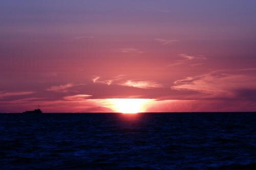 VasenkovAnya's profile picture. Люблю читать и слушать музыку,смотреть фильмы и рисовать