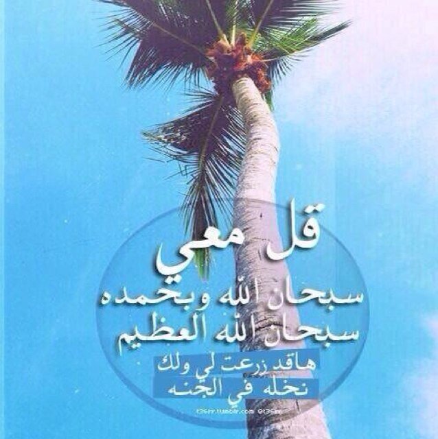 لا إله الا الله .