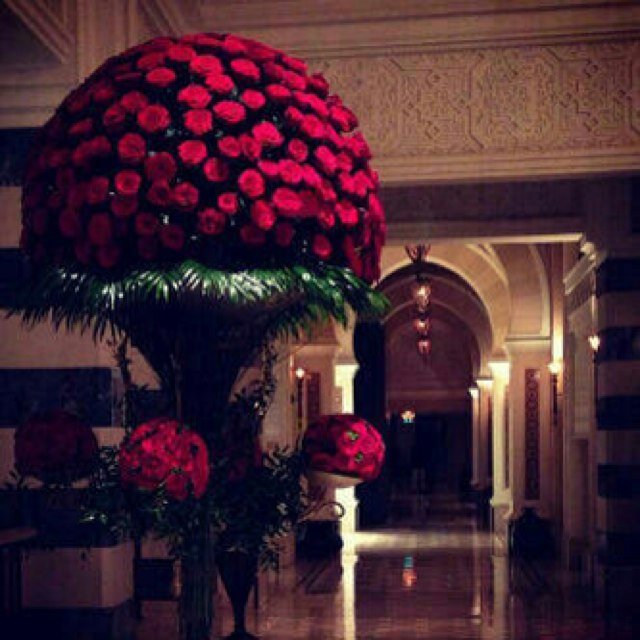 wn_al1's profile picture. 