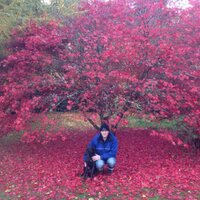 Ronald MacVicar (@ronaldmacvicar) 's Twitter Profile