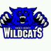 DCwildcatgirlsHockey (@dcwildcats10) Twitter profile photo