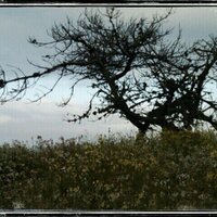 Erika Mitchell (@erikablue30) 's Twitter Profile