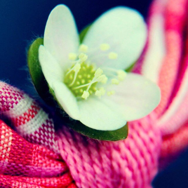 karacaboy's profile picture. 