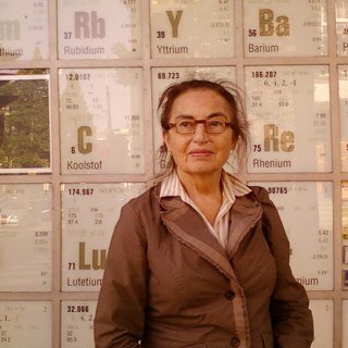 Former chemistry teacher writes and talks about children in Japanese concentration camps. Fan and promotor of BIG History.
