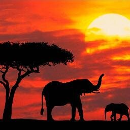 Connecting Kenyans home and abroad through news, stories, videos, and pictures