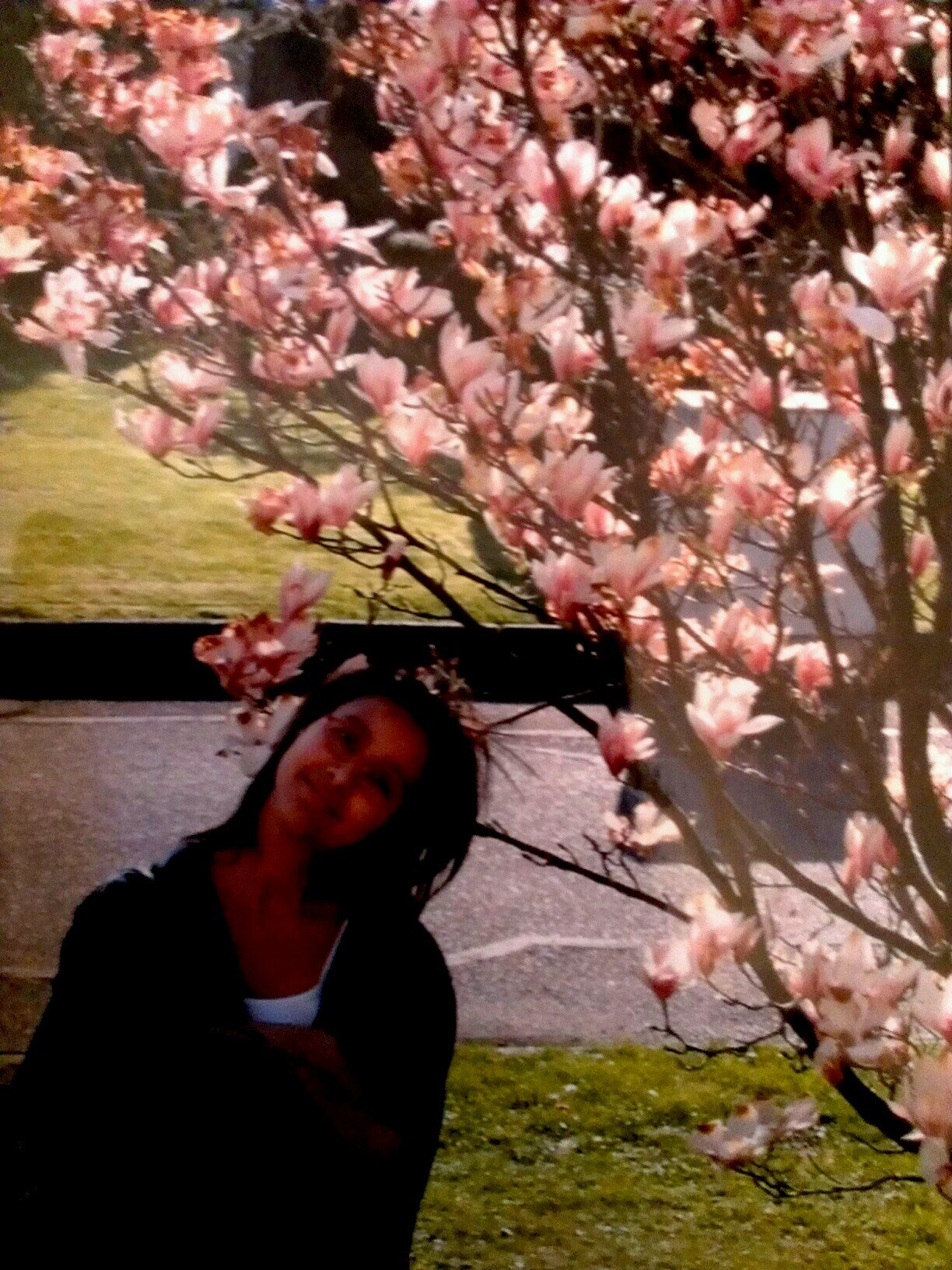 Taihoeflor's profile picture. Remember to stop and smell the roses