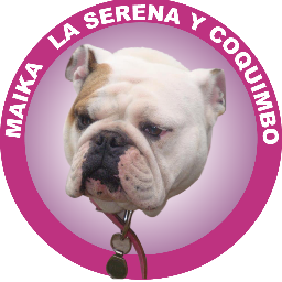 Maika La Serena y Coquimbo, es una página  de carácter no lucrativo, objetivo principal luchar contra el maltrato y el abandono, ayudarte encontrar tu mascota !