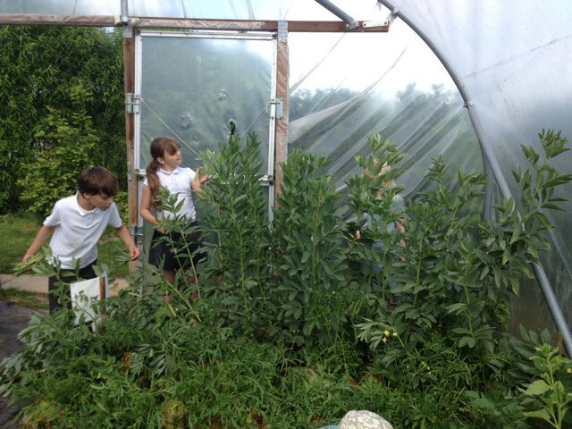 We have fun gardening, den building, whittling, fire lighting, veg growing, composting and so much more!