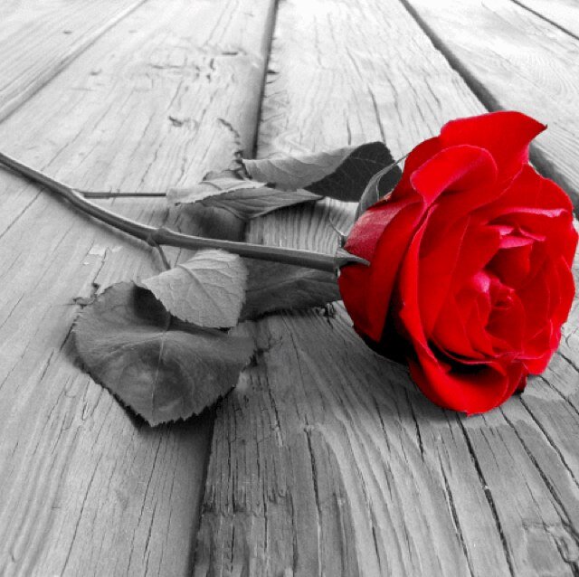 Pablo_Iglesias's profile picture. 