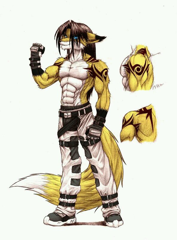Hey there. Just a furry looking for some fun ;) #Single #Bi