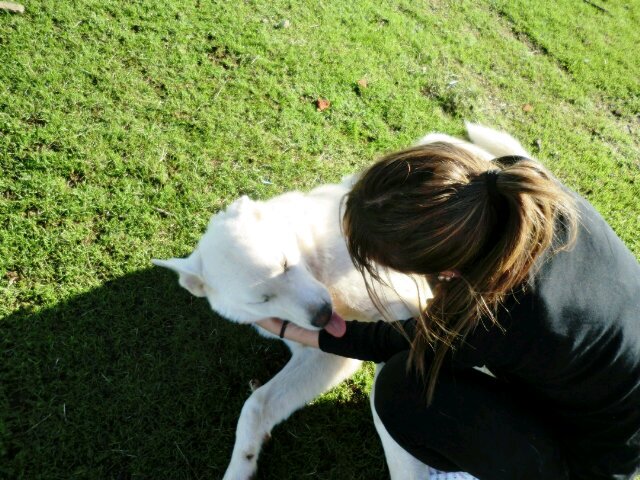 Un día sin una sonrisa, es un día perdido. ♥☺