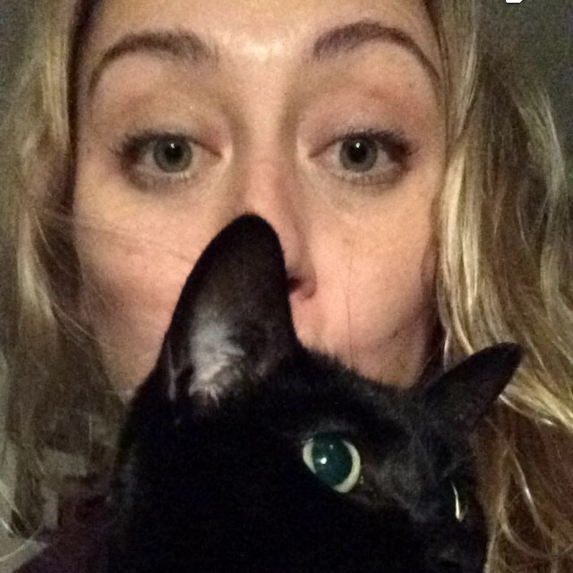 vonasaurus's profile picture. My love of sleep is stronger than my will to live.