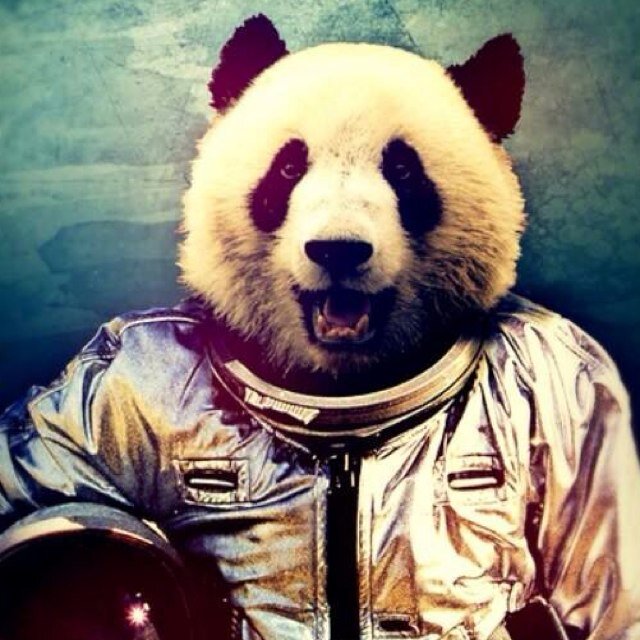 |
Tuzo....⚽  | Packer....🏈  |