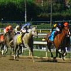 racetracklogic Profile Picture