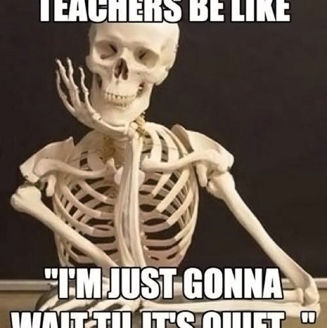 Tweets of funny things students say and all around history funnies!