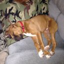 Roger Davidson - @rogersavidson38 - Twitter