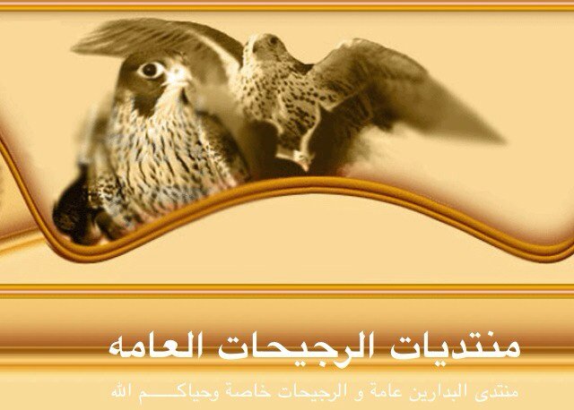 الصفحة الرسمية على تويتر لابناء الرجيحات من البدارين من حرب