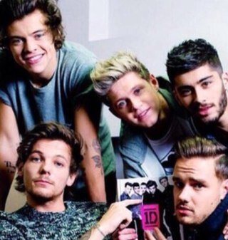 One direction, 5sos, All time low, blink-182, PLL, Glee, Little Mix