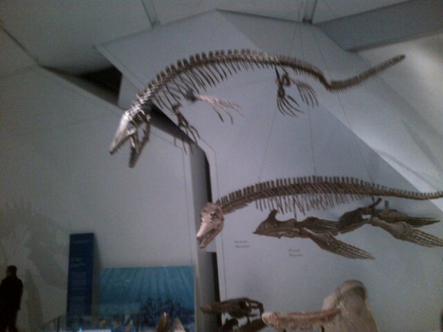 PCarlAnthonyS's profile picture. 