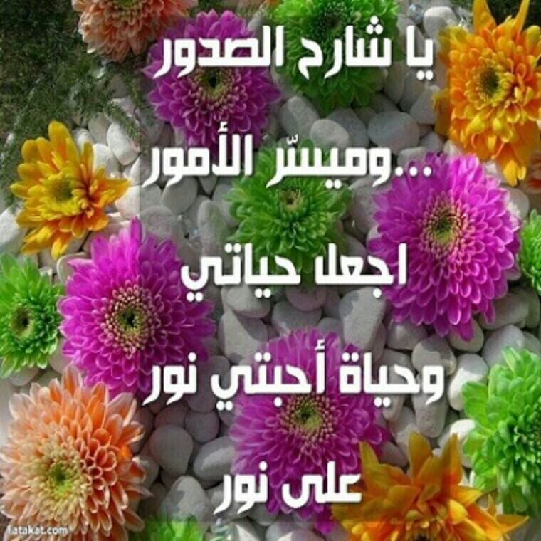 sgln20101's profile picture. 