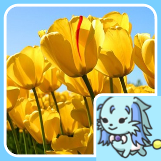 kenkenu's profile picture. 