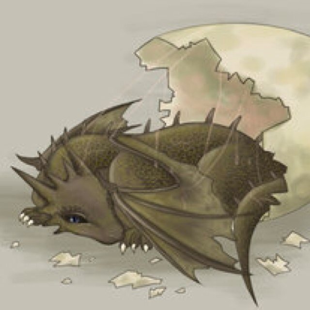 Baby Dragon Recently Hatched | Needs Someone To Care For Her | #RP