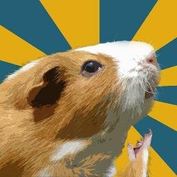 filosocuy's profile picture. 